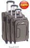 2011 new Soft Luggage