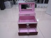 2011 new aluminum vanity case/box