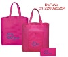 2011 new arrival non woven bag(DFY-072)