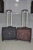 2011 new cabin luggage