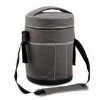 2011 new cooler bag