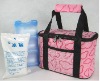 2011 new cooler bag/ ICE bag/ICE pack/lunch bag/