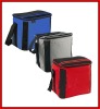 2011 new cooler bags