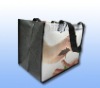 2011 new design PP Non-woven promotion Bag