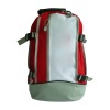 2011 new design backpack