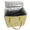 2011 new design ice  bag