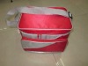 2011 new design lunch cooler bag