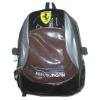 2011 new design shiny  backpack