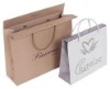 2011 new design shopping paper bag