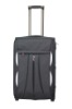 2011 new design trolley luggage