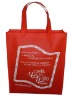 2011  new eco RPET promotional Bag