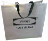 2011 new environmental nice shopping bag