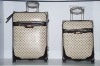 2011 new fahional travel luggage