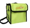 2011 new fashion cooler bag