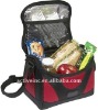 2011 new fashion cooler bag with spacious compartment