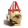 2011 new fashion food bag for promotional gift