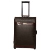 2011 new fashion luggage