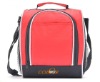 2011 new fashion lunch cooler bag