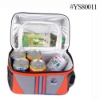 2011 new fashion promotional cooler bag