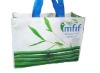 2011 new fashion shopping bag gift bag promotion bag
