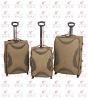 2011 new fashion trolley luggage