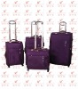 2011 new fashion trolley luggage