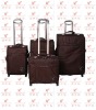 2011 new fashion trolley luggage