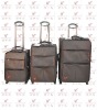 2011 new fashion trolley luggage