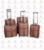 2011 new fashion trolley luggage