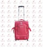 2011 new fashion trolley luggage