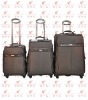 2011 new fashion trolley luggage