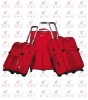 2011 new fashion trolley luggage bag