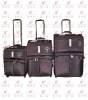 2011 new fashion trolley luggage bag