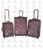 2011 new fashion trolley luggage bag