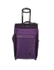 2011 new fashion trolley luggage bag