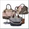 2011 new fashionable Canvas hand Bag