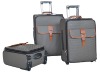 2011 new fashionable travel trolley luggage case