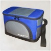 2011 new food cooler bag