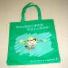 2011 new green eco friendly carry non woven bag