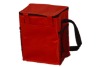 2011 new handy durable colorful ice cooler bag