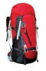 2011 new hiking bag