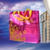 2011 new non-woven bag