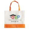 2011 new non woven laminated bag