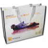 2011 new pp noven bag(DFY-W041)