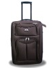 2011 new practical competitive business trolley case