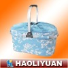 2011 new style cooler bag for frozen food