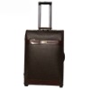 2011 new style luggage