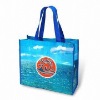 2011-new style pp non woven shoulder bag