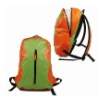 2011 new waterproof bacpack  DFL-WB0017