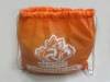 2011 newest fashion bags Non-woven bag